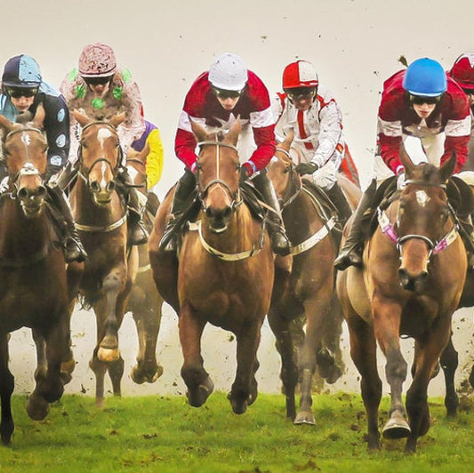 Icons Series - The Greatest Cheltenham Runners
